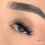 Prestige | Glueless Lashes - Stick & Slay