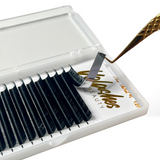 Lash Tray Samples