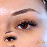 Wispy Lash Kit