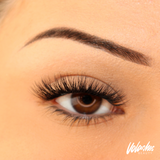 DIY Lash Bundle – Elite | Black Friday Drop