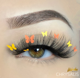 Chrysalis