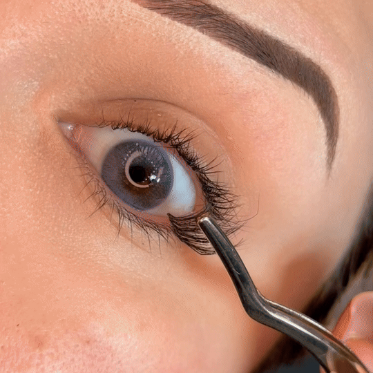 Apply lashes