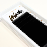 B Curl - Volume Premium PBT Lash Extension Trays