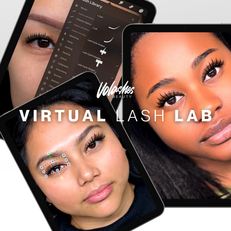 Volashes Virtual Lash Lab Kit | Virtual Lash Maps, Templates & Graphics