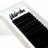 Flat Classic Lashes C/CC/D - Premium Lash Trays