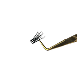 DIY Lash Bundle – Classique | Black Friday Drop