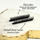 Flat Classic Lashes C/CC/D - Premium Lash Trays