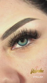 DIY Lash Bundle – Stellar | Black Friday Drop